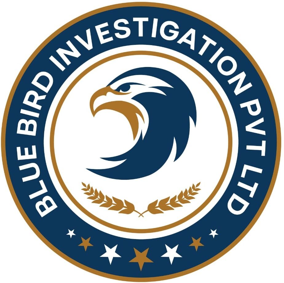 BB investigations logo